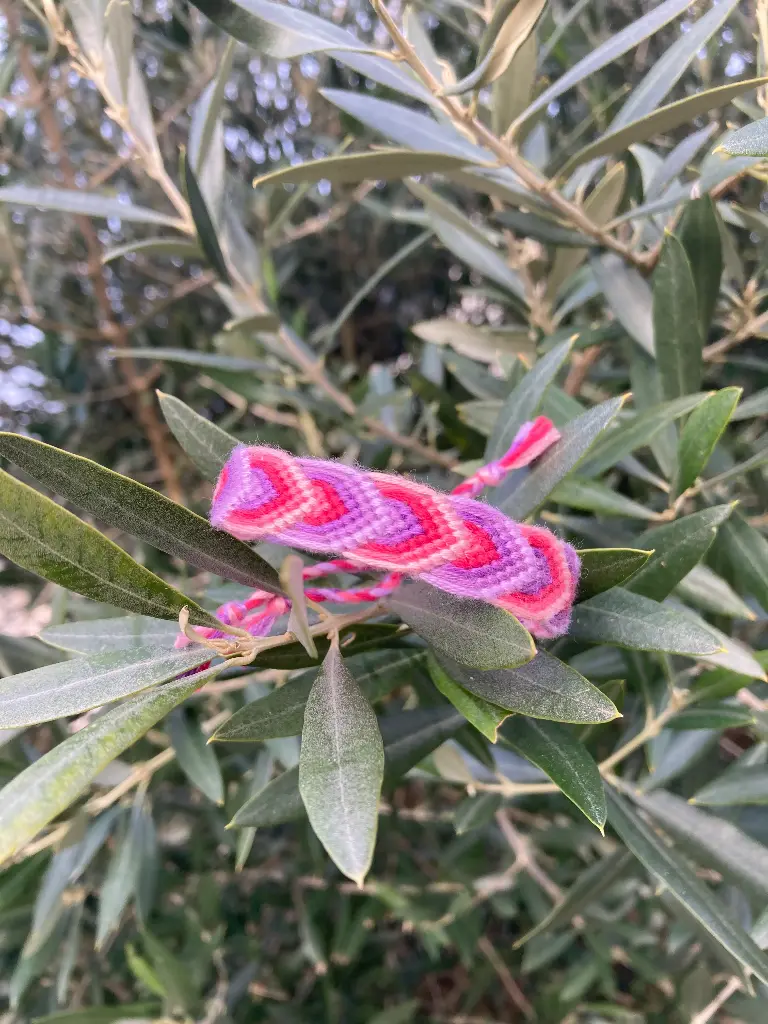 Bracelet feuille